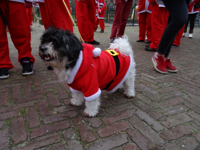 Santa Run 87