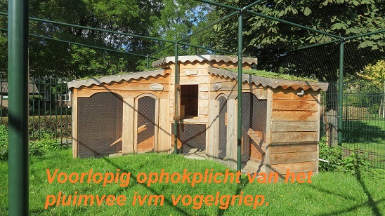 kippenpaleis3.jpg