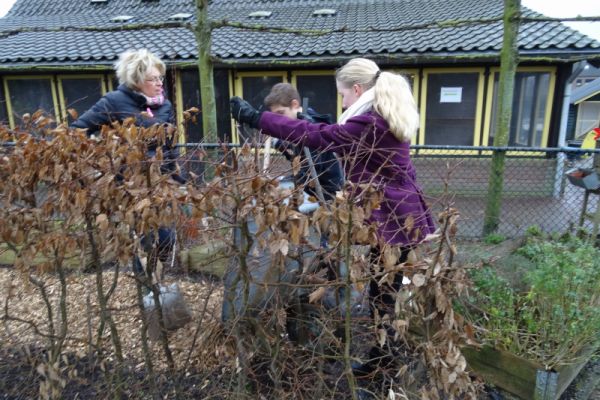 Internationale school Breda